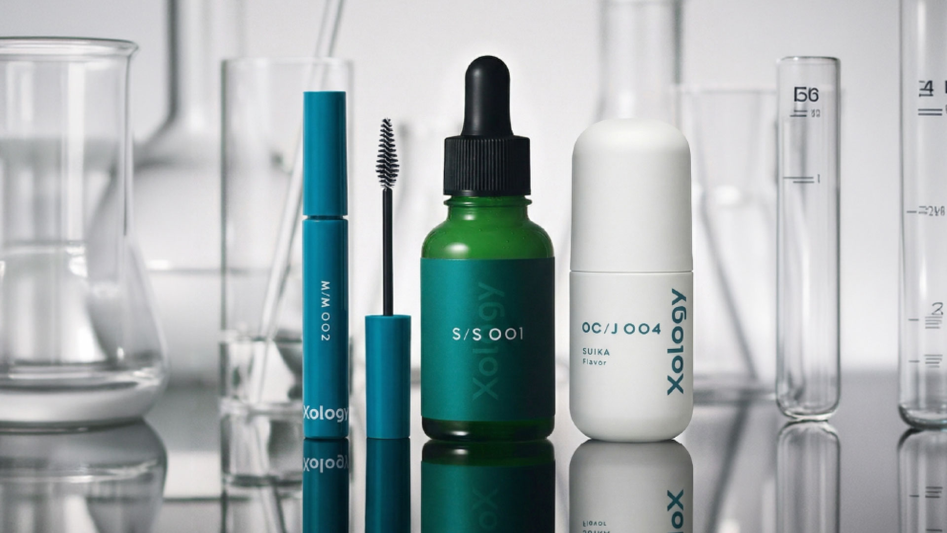 Xology Director Message